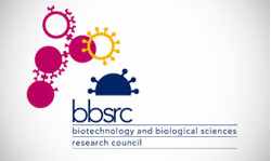 Mẫu Logo Biological Sciences Research.