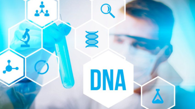 Dịch vụ chiết xuất DNA của công ty ncppb