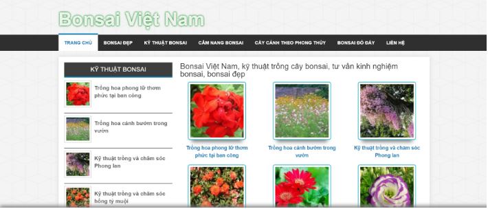 Bonsaivietnam.com.vn.