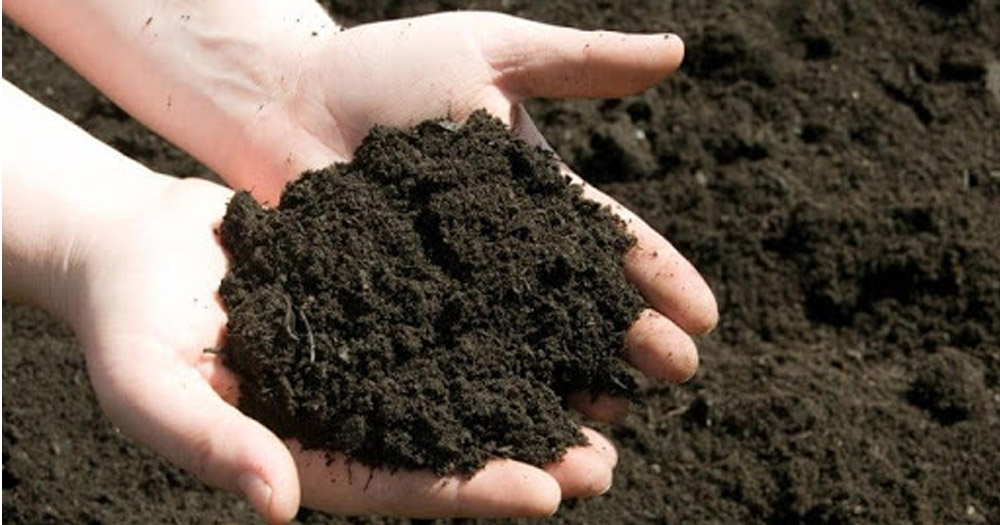 Đất vô cơ bao gồm đất sét nung và đá nham thạch, xỉ than
