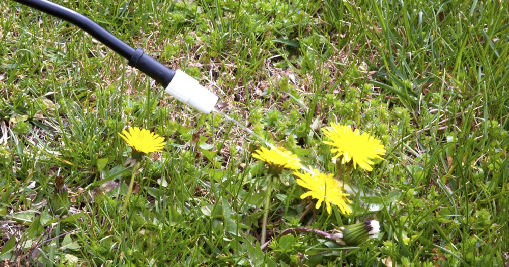 Lợi ích của việc diệt cỏ bằng phân bón hóa học 