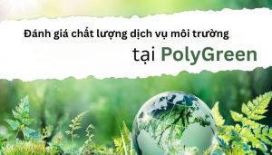 Chất lượng dịch vụ môi trường tại Polygreen có uy tín không?