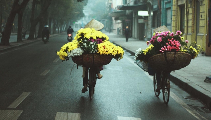 Tìm hiểu về xe đạp bán hoa