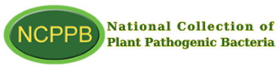 National Collection of Plant Pathogenic Bacteria