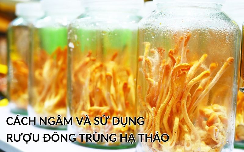 rượu đông rùng hạ thảo