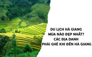 du lịch hà giang mùa nào đẹp nhất