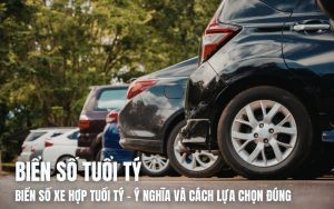 biển số xe hợp tuổi tý