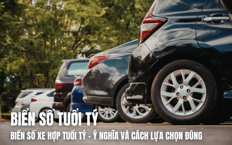 biển số xe hợp tuổi tý