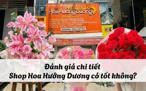 Đánh giá Shop Hoa Hướng Dương có tốt không?