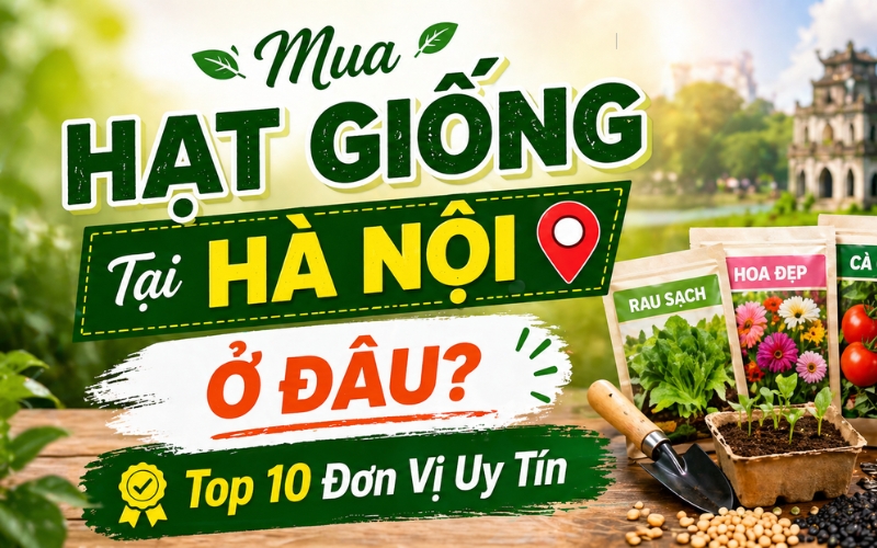 mua hạt giống tại hà nội